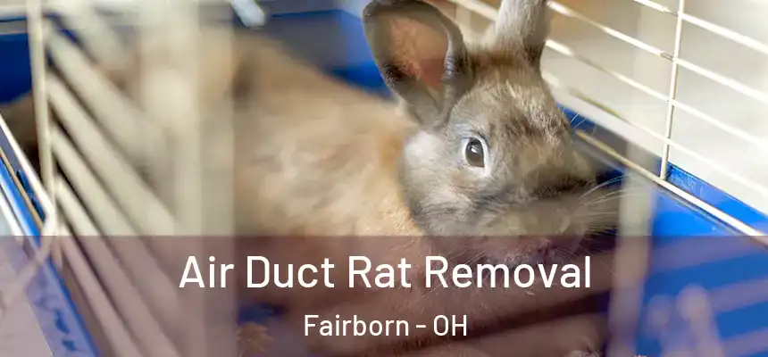 Air Duct Rat Removal Fairborn - OH