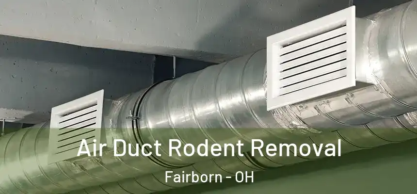 Air Duct Rodent Removal Fairborn - OH