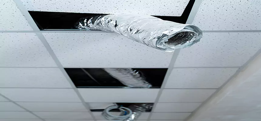 Our Air Duct Pet Hair Removal Services in Fairborn, OH