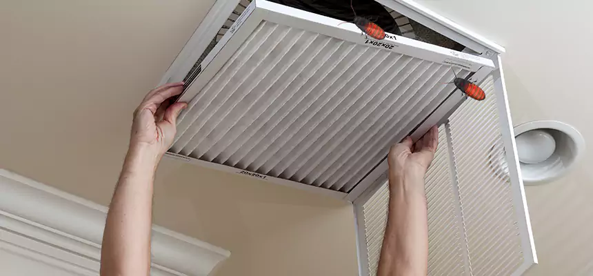 Our Insect Removal from Air Ducts Services in Fairborn, OH