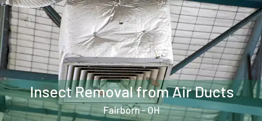 Insect Removal from Air Ducts Fairborn - OH