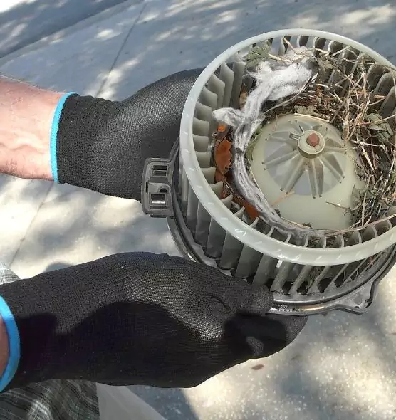 About Air Duct Mice Removal in Fairborn, OH