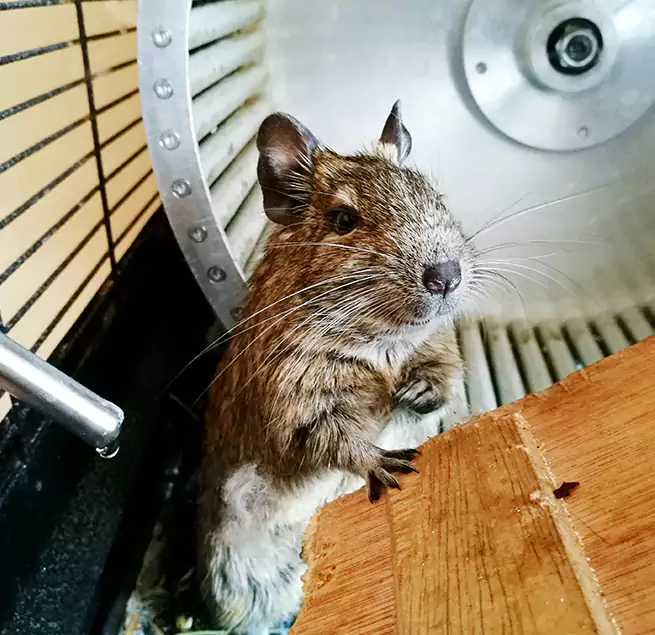 Why Homeowners & Businesses Trust Us Fairborn, OH